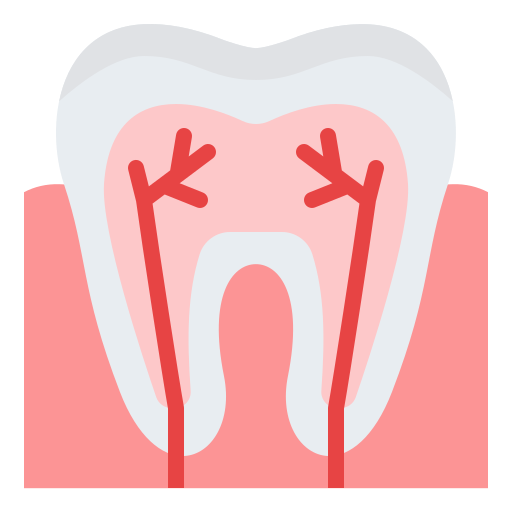 https://mydentalkraft.com/wp-content/uploads/2022/11/teeth.png